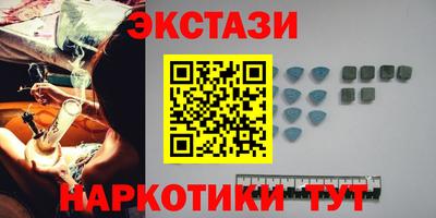 индика Славгород