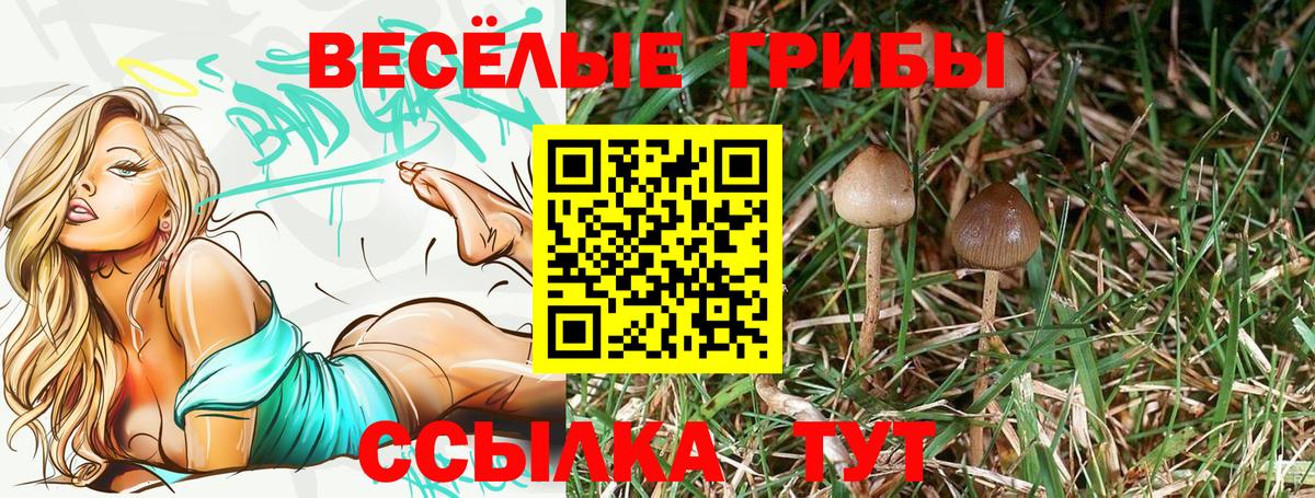 Галлюциногенные грибы прущие грибы  Вход с VPN  Псилоцибиновые грибы Psilocybe  Альметьевск 